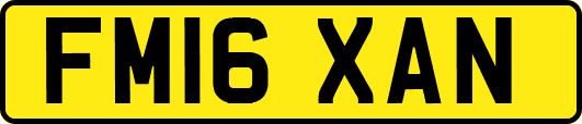 FM16XAN