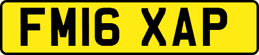 FM16XAP