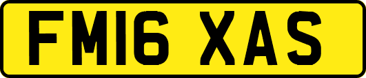 FM16XAS
