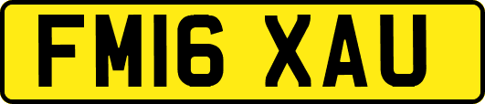 FM16XAU