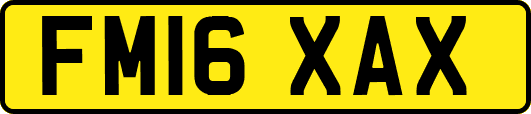 FM16XAX