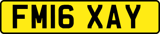 FM16XAY