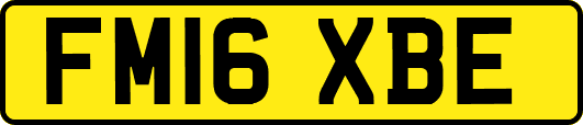 FM16XBE