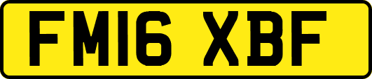 FM16XBF