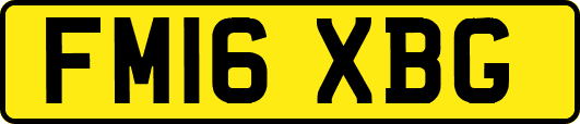 FM16XBG