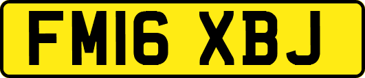 FM16XBJ