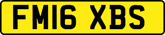 FM16XBS