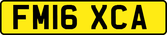FM16XCA