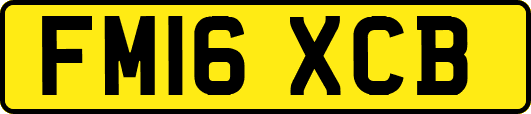 FM16XCB
