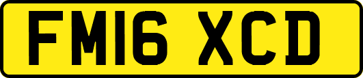 FM16XCD