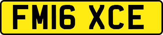 FM16XCE