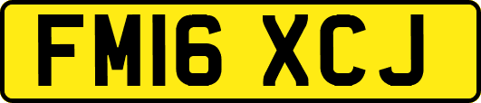 FM16XCJ