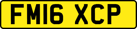 FM16XCP