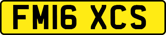 FM16XCS
