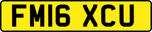 FM16XCU