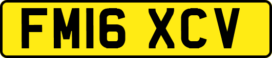 FM16XCV