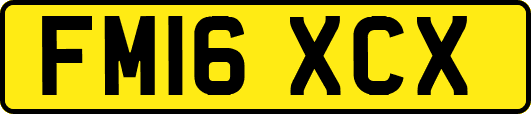 FM16XCX