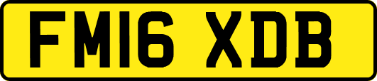 FM16XDB
