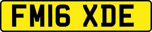 FM16XDE
