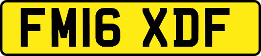 FM16XDF