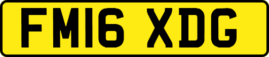 FM16XDG
