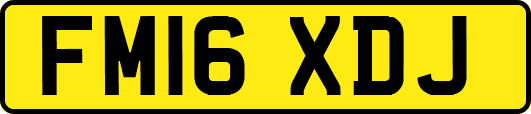 FM16XDJ