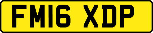 FM16XDP