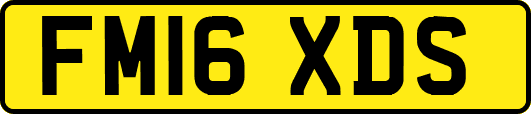 FM16XDS