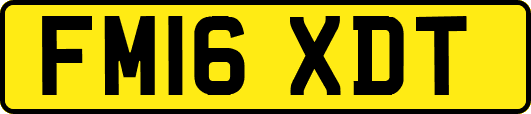 FM16XDT
