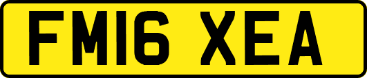 FM16XEA