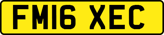 FM16XEC