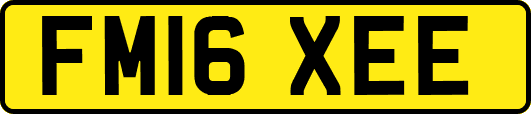 FM16XEE