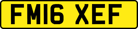 FM16XEF