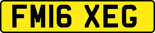 FM16XEG