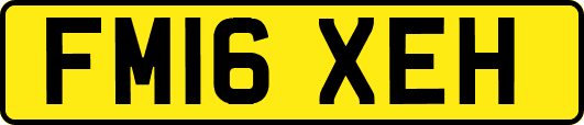 FM16XEH