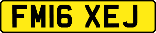 FM16XEJ