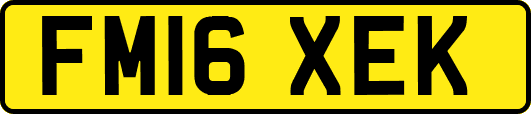 FM16XEK
