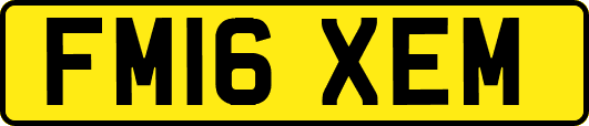 FM16XEM