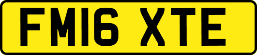 FM16XTE