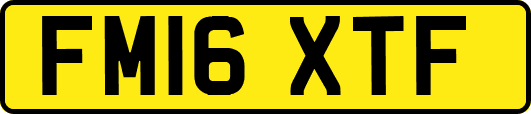 FM16XTF