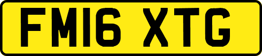 FM16XTG