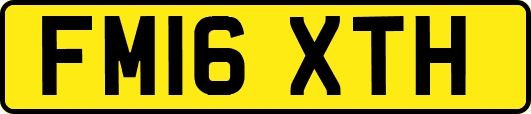 FM16XTH
