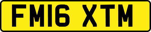 FM16XTM
