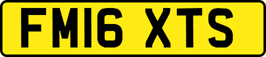 FM16XTS