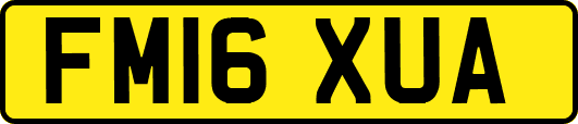 FM16XUA