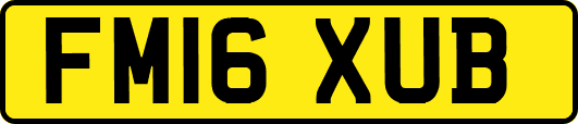 FM16XUB