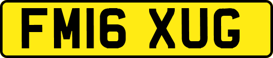 FM16XUG