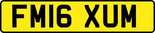 FM16XUM