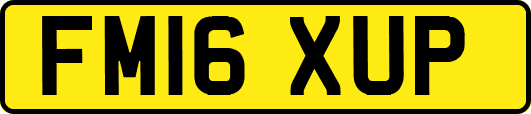 FM16XUP