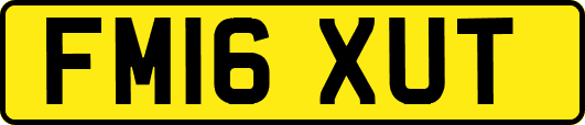 FM16XUT